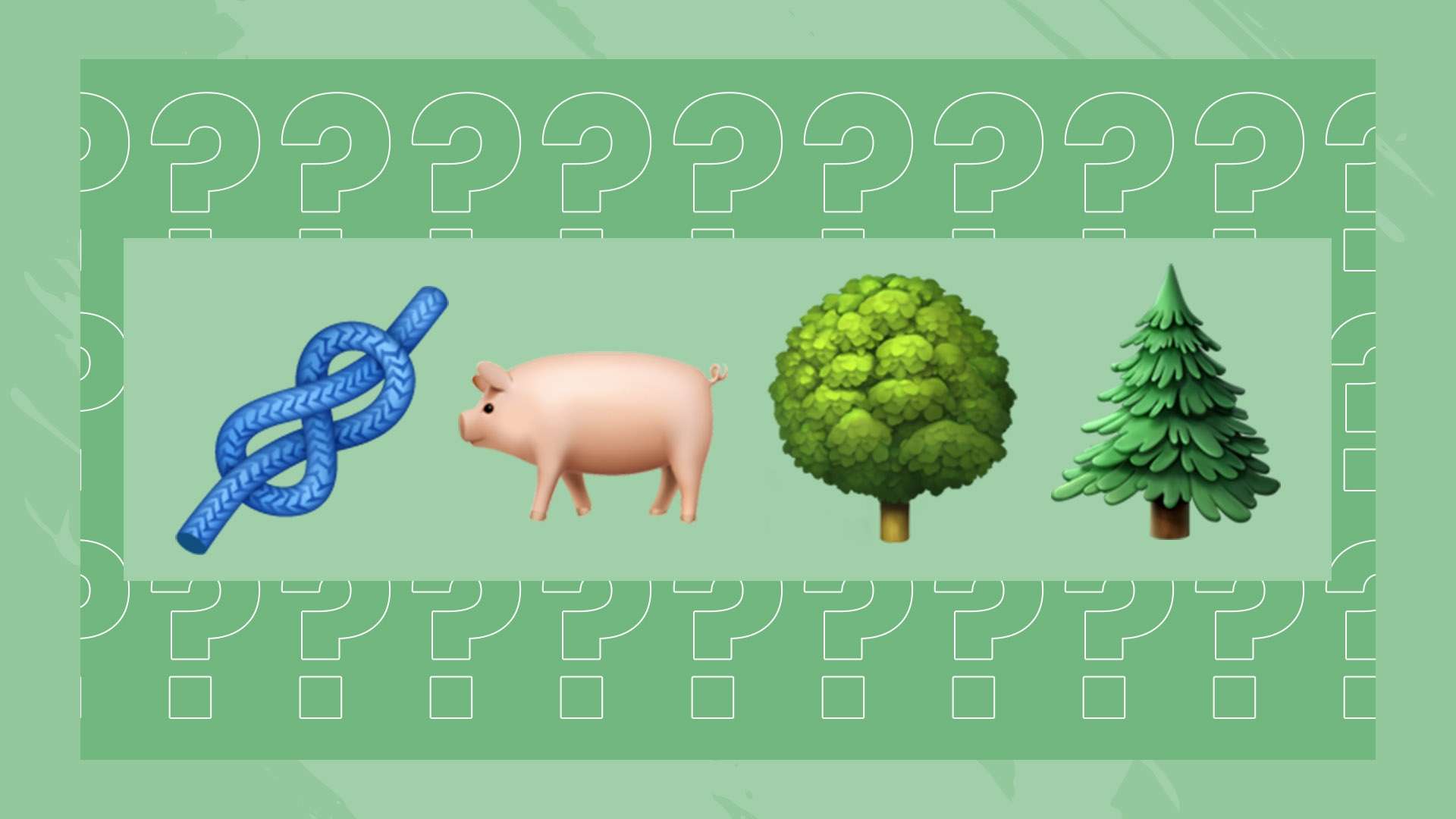 辅导课程 辅导课程