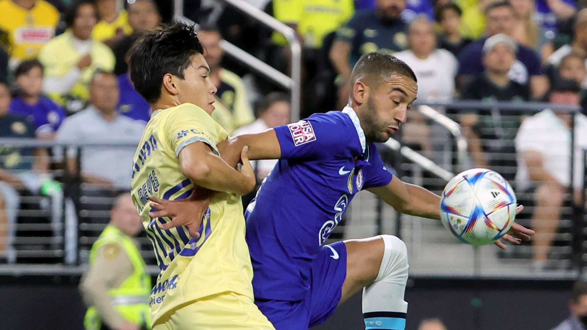 也成为这届 也成为这届