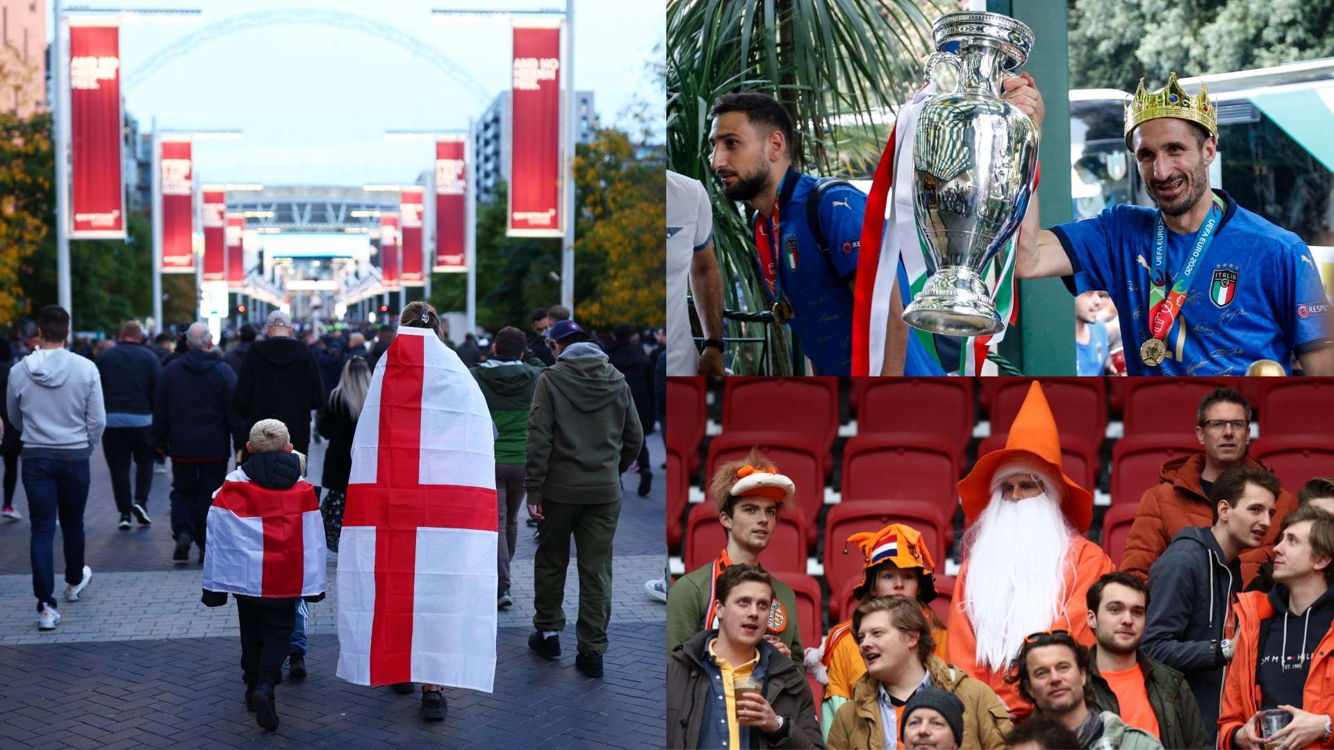 近年来在国 近年来在国